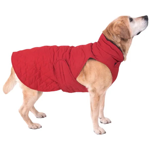 Manteau surpiqué pour chien Dos 70cm - Manteau pour chien