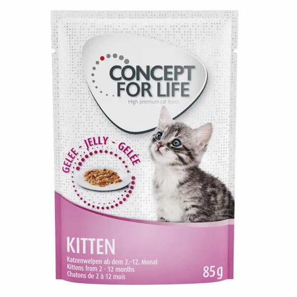 Maine Coon Kitten + sachet Kitten en gelée Concept for Life - pour chat