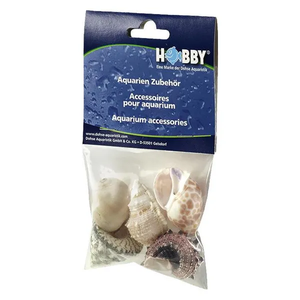 Akuastabil Grandes Pièces De Coquille Marine 10 Pièces 1 Kg