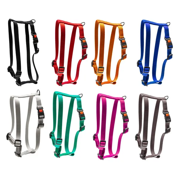 Karlie Art Sportiv Plus Tableware New Universal Colours Mix and Match (S, Chien, Promenade), Collier + laisse