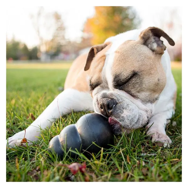 Jouet Extreme KONG - Jouet à mâcher ultra-résistant pour chien