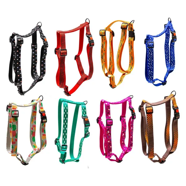 Karlie Linge de table avec motif imprimé Mix and Match (50, Chien, Promenade), Collier + laisse