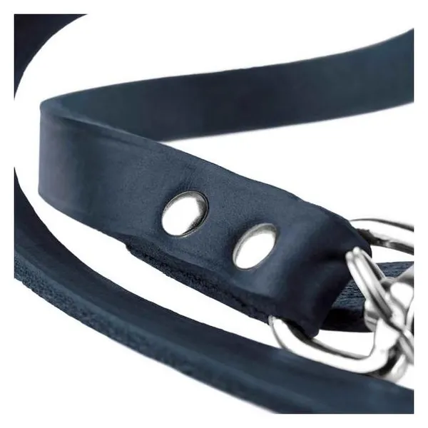 Hunter Laisse rglable, Collier + laisse