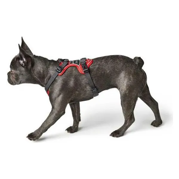 Harnais HUNTER Divo, rouge/gris taille S tour de poitrail 45-56 cm - pour chien