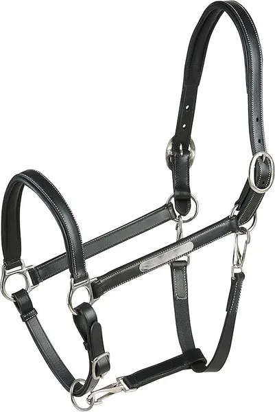 Licol pour cheval pour poney cuir grooming ERIC THOMAS “Pro” – photo 2