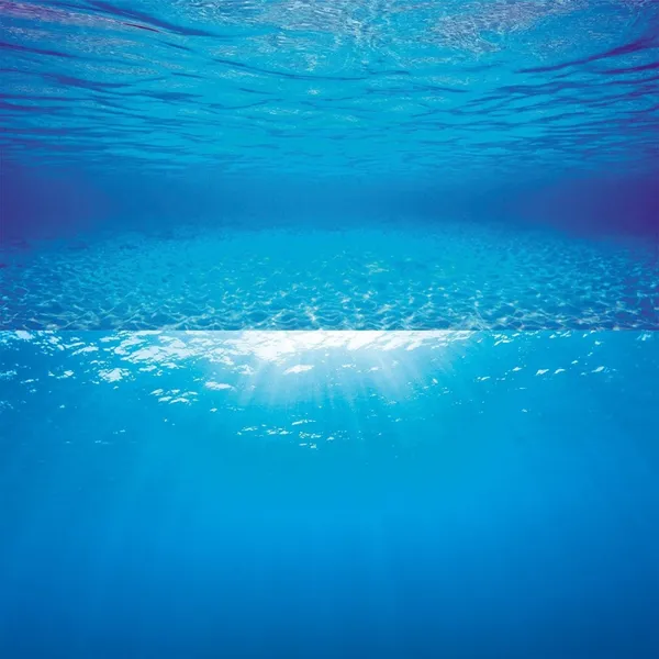 Poster 2 s 60x30 juwel – photo 3