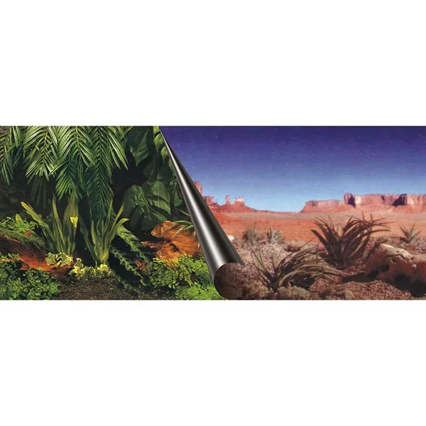 EBI Poster fond daquarium - 60 x 30 cm - Imprimé Jungle / Desert