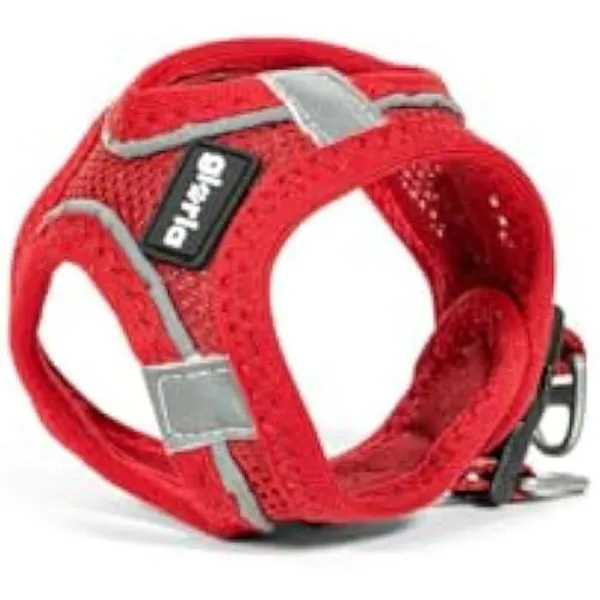 Gloria Pets Harnais/Robe Air Mesh Trek Star Rouge Foncé Pour Chien L