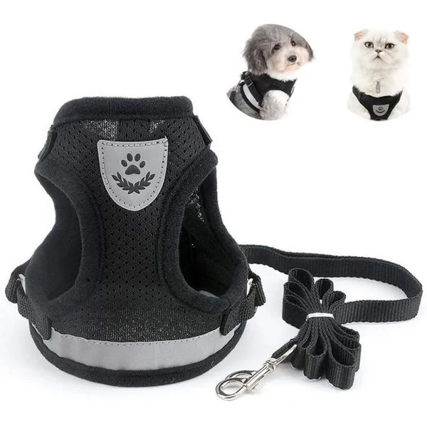 Harnais Chat Adulte, Collier et Laisses pour Chats, Anti-Perte avec Pendentif et Grelots, Taille M
