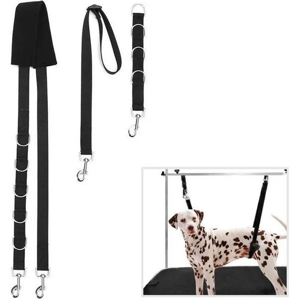 Ceinture de toilettage réglable pour chien pour table de toilettage et table de tonte