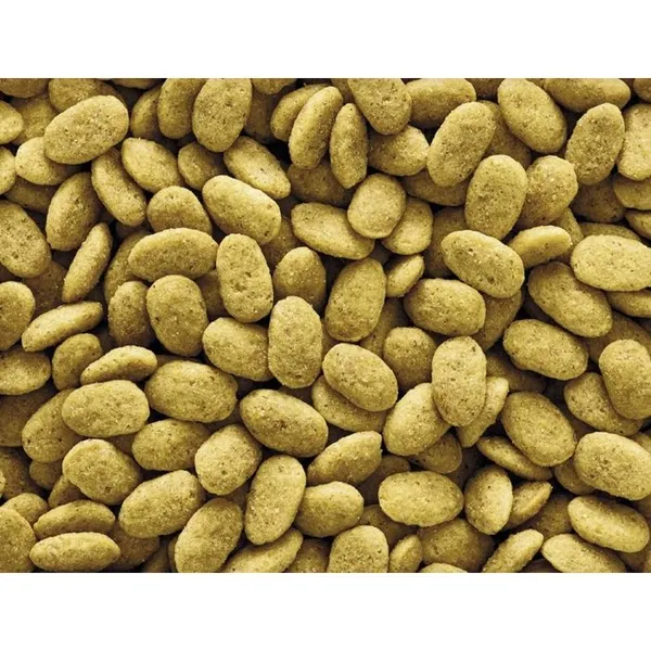 Versele Laga Nutribird P15 Original Entretien 1 Kg