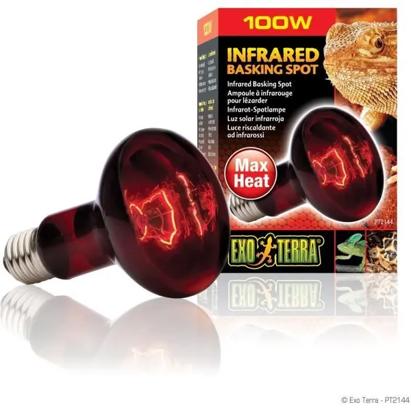 EXO TERRA Lampe infrarouge Baskin Spot - 100 W - Pour terrarium