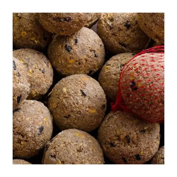 Boules de graisse Premium avec insectes 100x90g