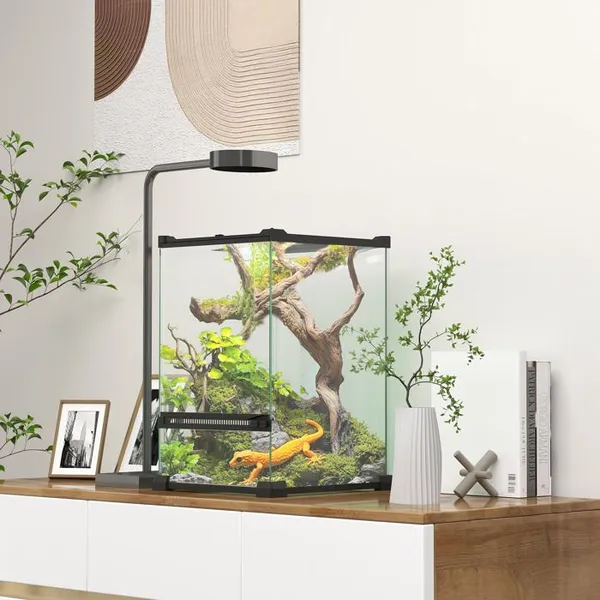 Terrarium en verre pour reptiles vivarium 12 L avec couvercle en treillis métallique 20 x 20 x 30 cm noir