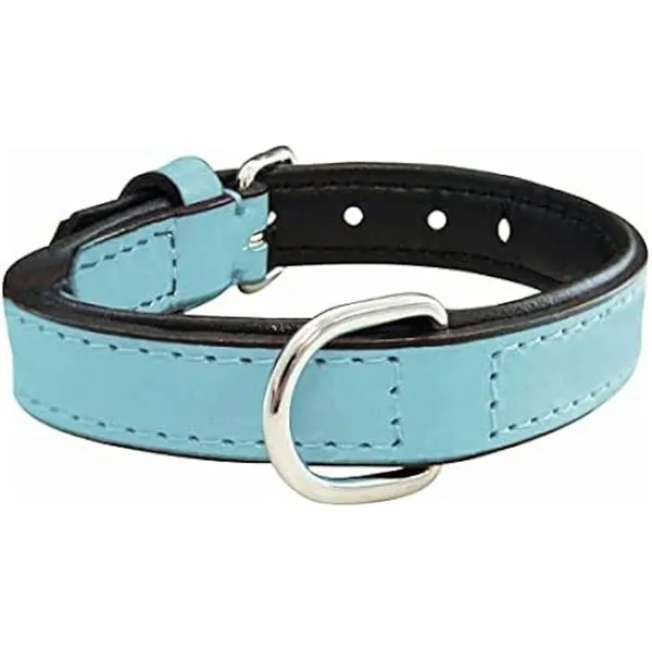 Gloria Pets Collier De Peau Rembourrée Bleue 50 Cm X 25 Mm