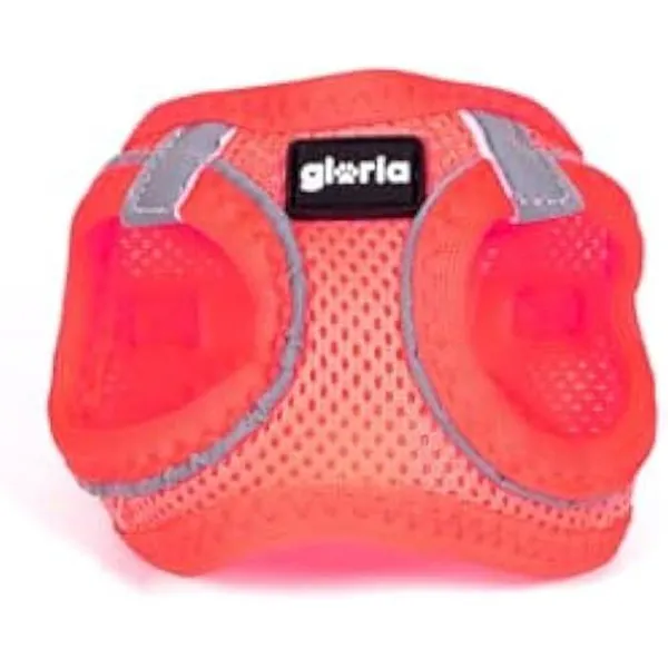 Gloria Pets Air Mesh Trek Star Harnais/Robe Rose Pour Chiens M