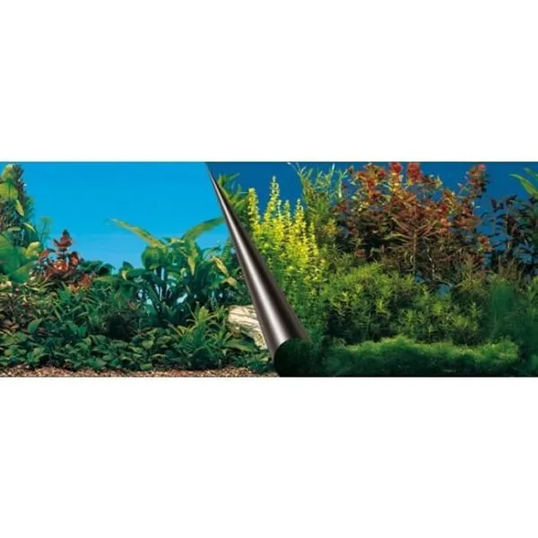 Poster fond d'aquarium Aqua Della Beauty & Sea