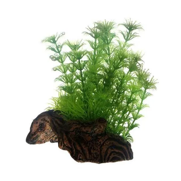 Hobby Flora Root S 3