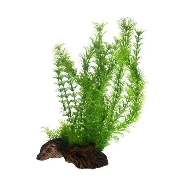 Hobby Flora Root L 3