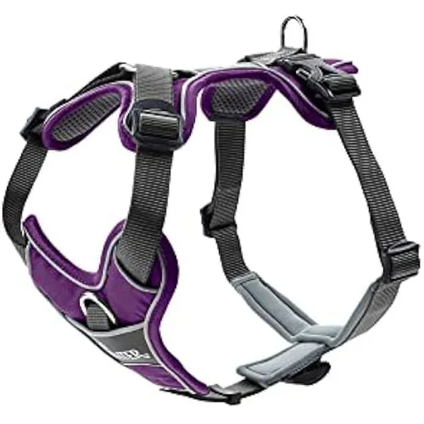 Hunter Harnais De Divo Lila L-Xl