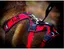 Harnais pour chien I-DOG Confort Trek