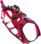 Harnais pour chien I-DOG Confort Trek