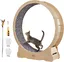 VEVOR Roue d'Exercice pour Chat 1320 mm Grande Roue de Tapis Roulant pour Chat Intérieur Roue de Course Tapis Détachable et Taquin pour Chat pour Course Marche Entraînement Convient Plupart des Chats