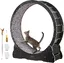 VEVOR Roue d'Exercice pour Chat 1100 mm Grande Roue de Tapis Roulant pour Chat Intérieur Roue de Course Tapis Détachable et Taquin pour Chat pour Course Marche Entraînement Convient Plupart des Chats