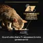 PRO PLAN Maintenance Multivariété Sterilised Boeuf & Poulet 10 x 85 g