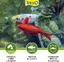 Sticks Pour Poisson De Bassin Tetra - Le Pot De 1l