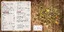 Marstall Vito Muesli pour cheval