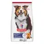 Mature Adult 7+ Medium poulet Croquettes Hill's Science Plan pour chien