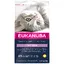 Healthy Start Kitten Eukanuba - Croquettes pour chat