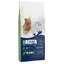 Lot Bozita pour chien - Grain Free élan (2 x 12 kg)