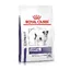 Royal Canin Expert Dental Small Dog - Croquettes pour chien