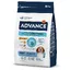 Advance Medium Light poulet pour chien - 3 kg