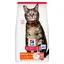 10kg Hill's Science Plan Adulte 1-6 Saumon Croquettes pour chat