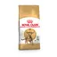Royal Canin Adult Bengal pour chat 2 x 2 kg