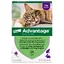 Pipettes Ad-vantage 80 pour chat et lapin de plus de 4 kg