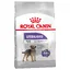 Royal Canin Mini Light Weight Care - Croquettes pour chien