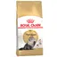 Persian Royal Canin Croquettes pour chat