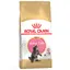 Kitten Maine Coon Royal Canin Croquettes pour chaton