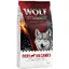 Wolf of Wilderness 