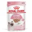 Royal Canin Kitten en mousse - Pâtée pour chat