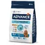 Advance Medium Adult pour chien - 3 kg