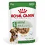 Mini Adult Royal Canin - Nourriture pour chien