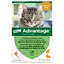 Pipettes Ad-vantage 40 pour chat et lapin de moins de 4 kg