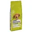 PURINA Dog Chow Adult, poulet - Croquettes pour chien