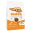 Iams Kitten poulet - Croquettes pour chat
