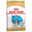 Cavalier King Charles Puppy Chiot Royal Canin - Croquettes pour chien
